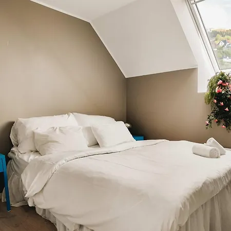 Apartment Dinbnb L 100m To Bryggen L Pet Friendly L Sleeps 4 L Smart-tv